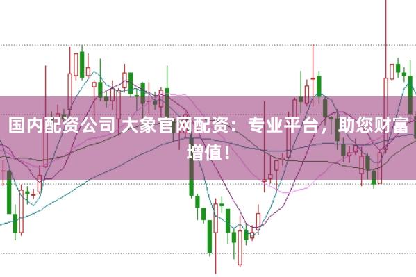 国内配资公司 大象官网配资：专业平台，助您财富增值！