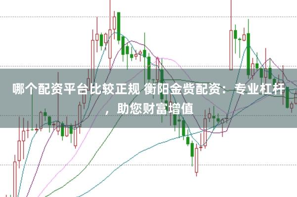 哪个配资平台比较正规 衡阳金赀配资：专业杠杆，助您财富增值