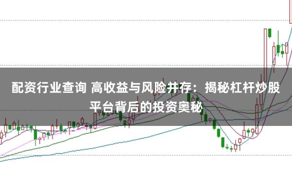 配资行业查询 高收益与风险并存：揭秘杠杆炒股平台背后的投资奥秘