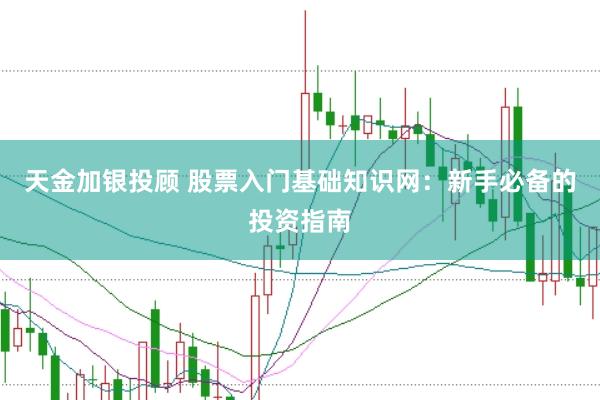 天金加银投顾 股票入门基础知识网：新手必备的投资指南