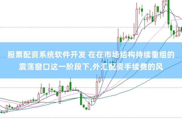 股票配资系统软件开发 在在市场结构持续重组的震荡窗口这一阶段下,外汇配资手续费的风