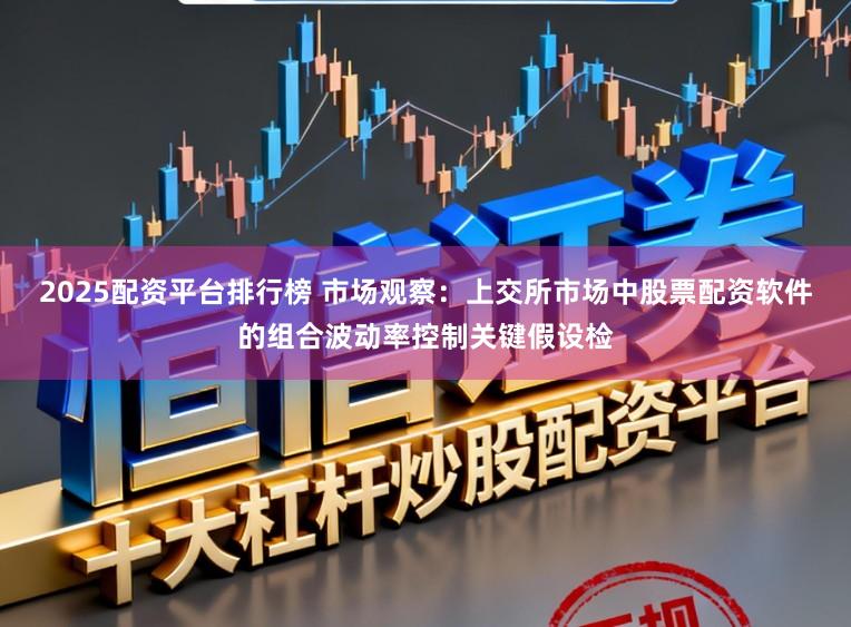 2025配资平台排行榜 市场观察：上交所市场中股票配资软件的组合波动率控制关键假设检